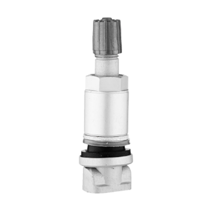 Válvulas TPMS-TPMS-01