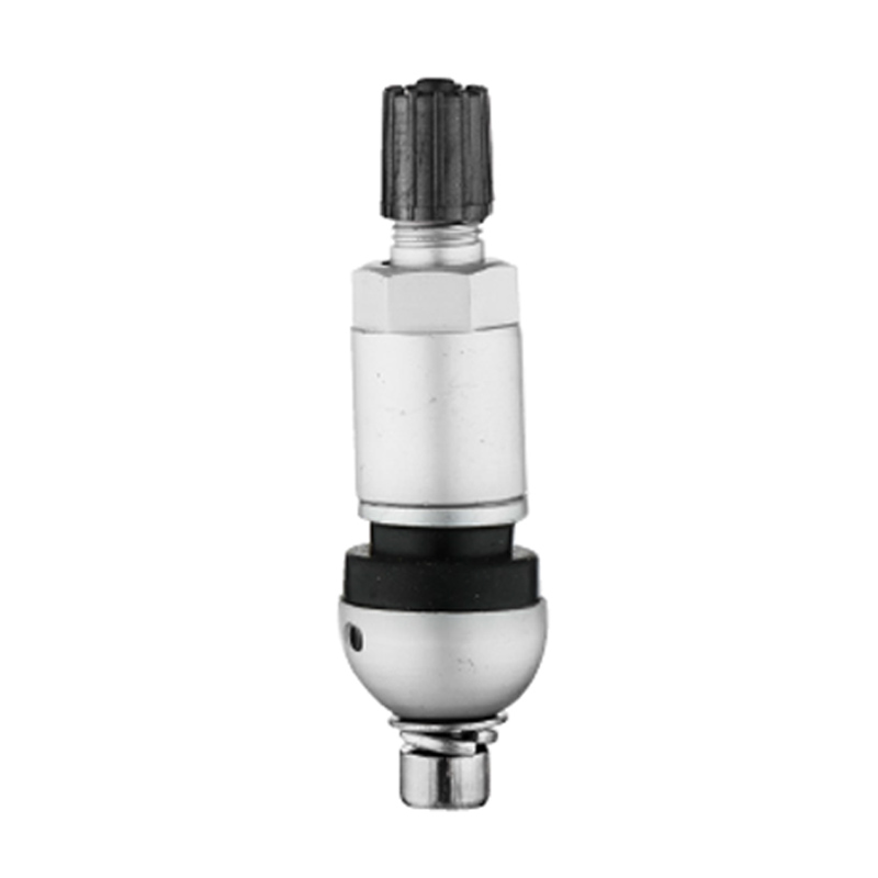 Válvulas TPMS-TPMS-02