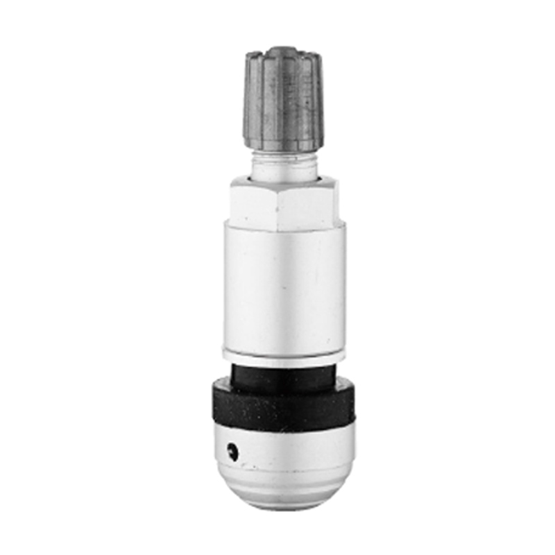 Válvulas TPMS-TPMS-09
