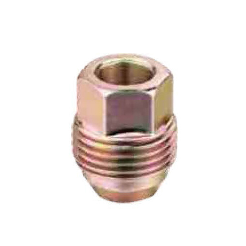 Porca de extremidade aberta-HEX 21-2002-L30
