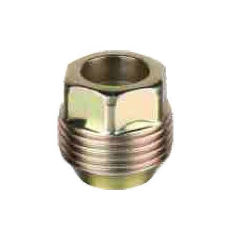 Porca de extremidade aberta-HEX 22-2002T-L26